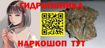 спайс Обь