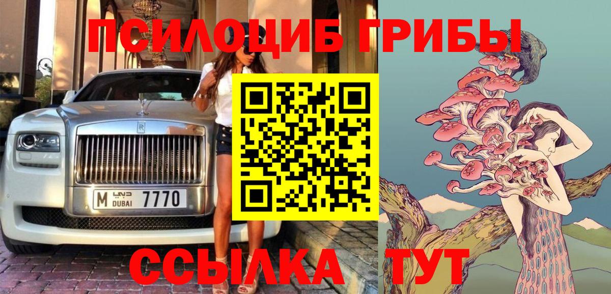 Псилоцибиновые грибы мицелий Советский